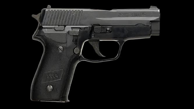 SIG SAUER P228