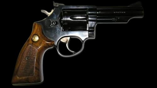TAURUS 82S