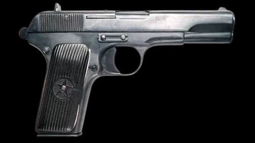 TT-33
