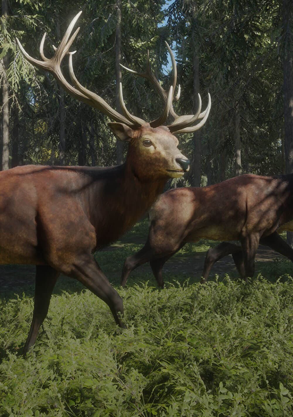 Interaktīvā šaušana